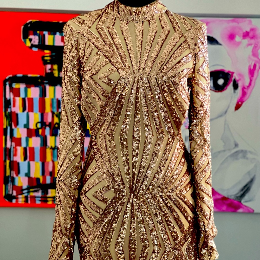 Stunning Sequin “DreamGirl” Dress EXCELLENT Condition